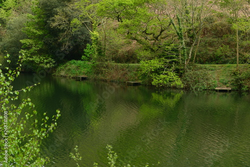 Angling lake, Jersey, U.K. Spring calm landscape.