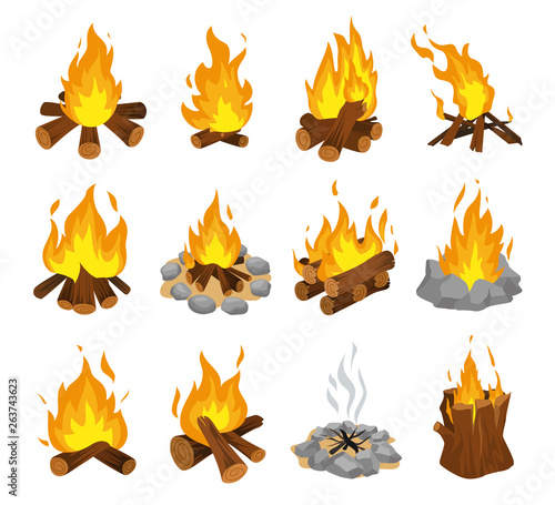 Slika na platnu Wood campfire set, travel and adventure symbol