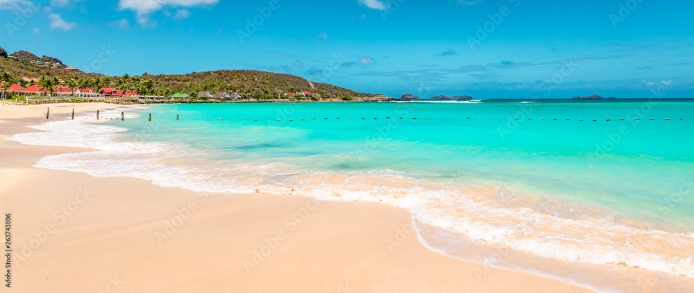 Panoramic view of beautiful white sandy beach in St Barts ( Saint Barthelemy), Caribbean