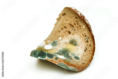 Принти на полотні The picture of a mouldy bread