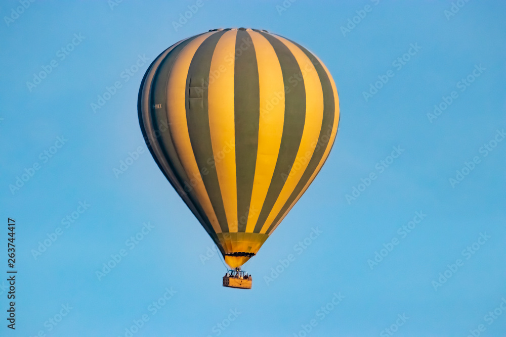 Fototapeta premium hot air balloon
