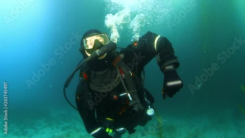 Scuba Diver Releasing Air from Suit in Monterey, CA photo