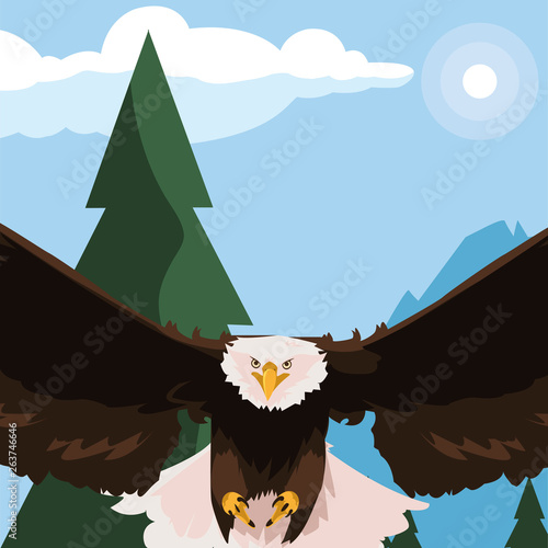 beautiful bald eagle flying in the landscape photo