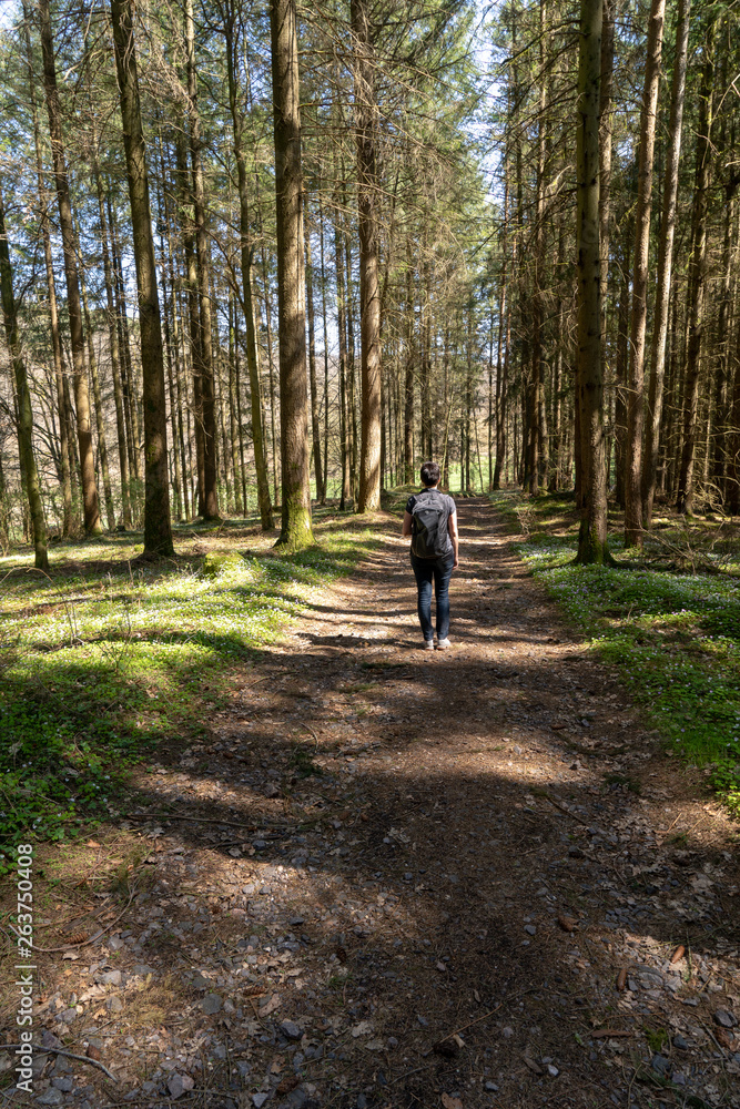 Fototapeta premium Pfalz Dahn - Lemberg im Frühling