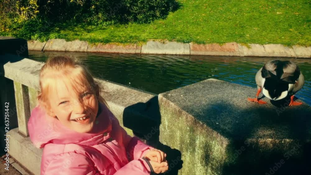 A happy little girl with blonde hair smiles as a colorful male mallard duck pulls a piece of bread from her hand and flys down onto a pond. TRACKING SHOT. A happy little girl with blonde hair smiles as a colorful male mallard duck pulls a piece of bread from her hand and flys down onto a pond. TRACKING SHOT.