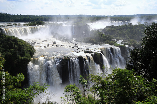 Wilder Iguazu