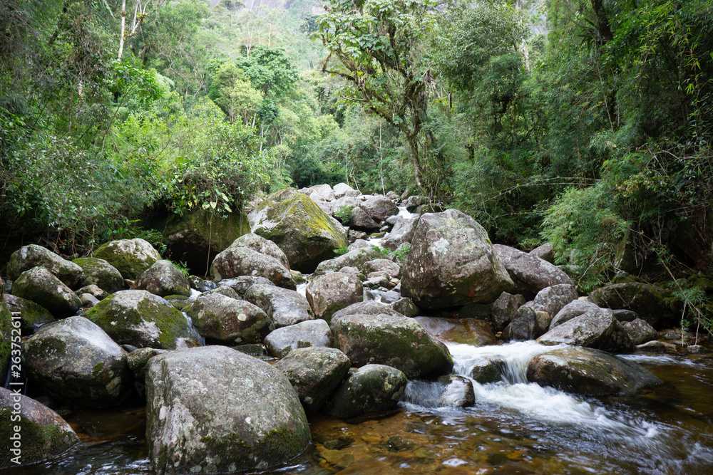 small waterfall in the forest small waterfall in the forest