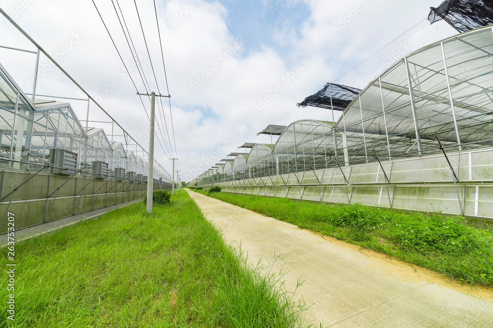 Greenhouse planting greenhouses and the blue sky white clouds on the road Greenhouse planting greenhouses and the blue sky white clouds on the road