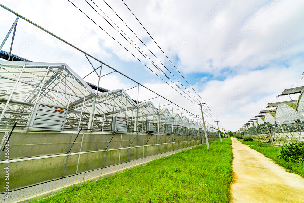 Greenhouse planting greenhouses and the blue sky white clouds on the road Greenhouse planting greenhouses and the blue sky white clouds on the road