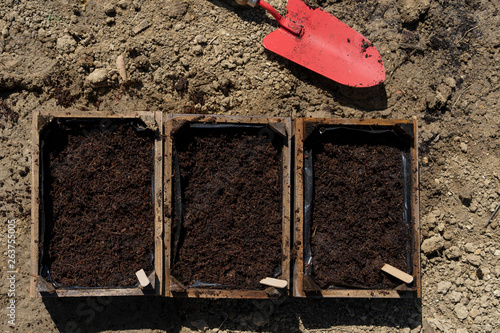 Tiny red shovel in soil © jcsneves