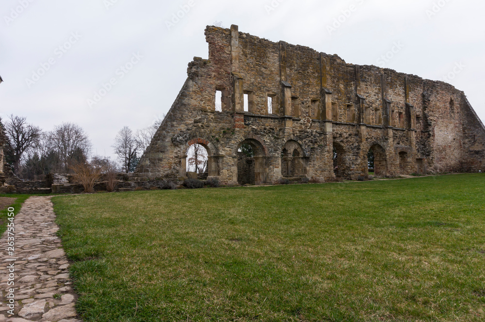 Ruins of medieval Carta Monastery,  a former Cistercian (Benedictine) Abbey in southern Transylvania 