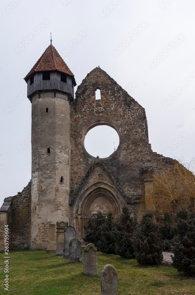 Ruins of medieval Carta Monastery,  a former Cistercian (Benedictine) Abbey in southern Transylvania 