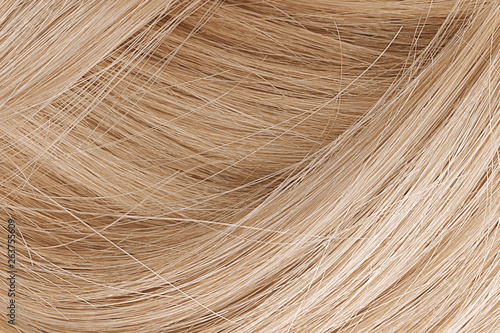 Blond hair as background, texture. One of the popular shades of hair coloring