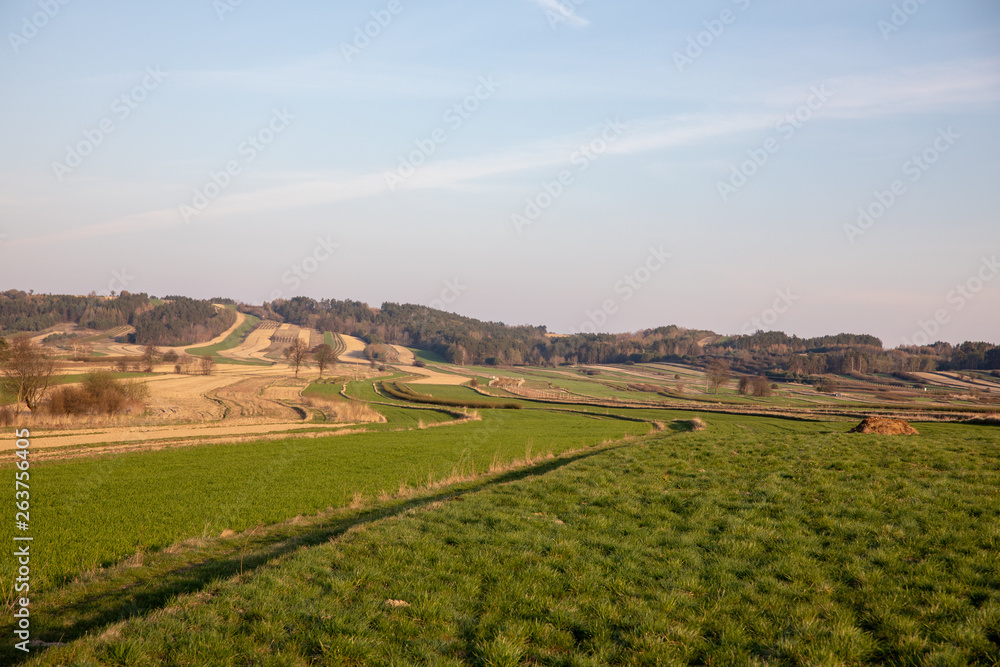 Panorama of countryside and field