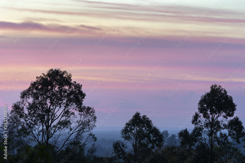 Colorful beautiful purple stripes of clouds on sky before the sunrise in the hazy early morning time. Trees silhouettes on foreground Colorful beautiful purple stripes of clouds on sky before the sunrise in the hazy early morning time. Trees silhouettes on foreground