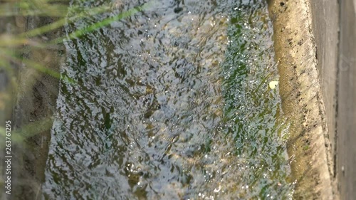 Shining shallow stream flow along the irrigation canal.