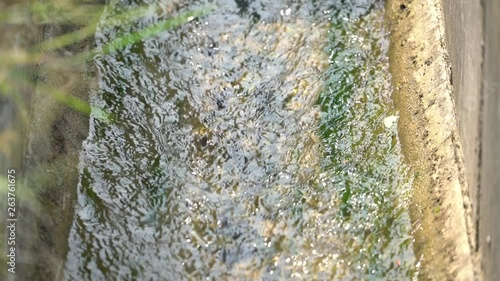 Shining shallow stream flow along the irrigation canal.