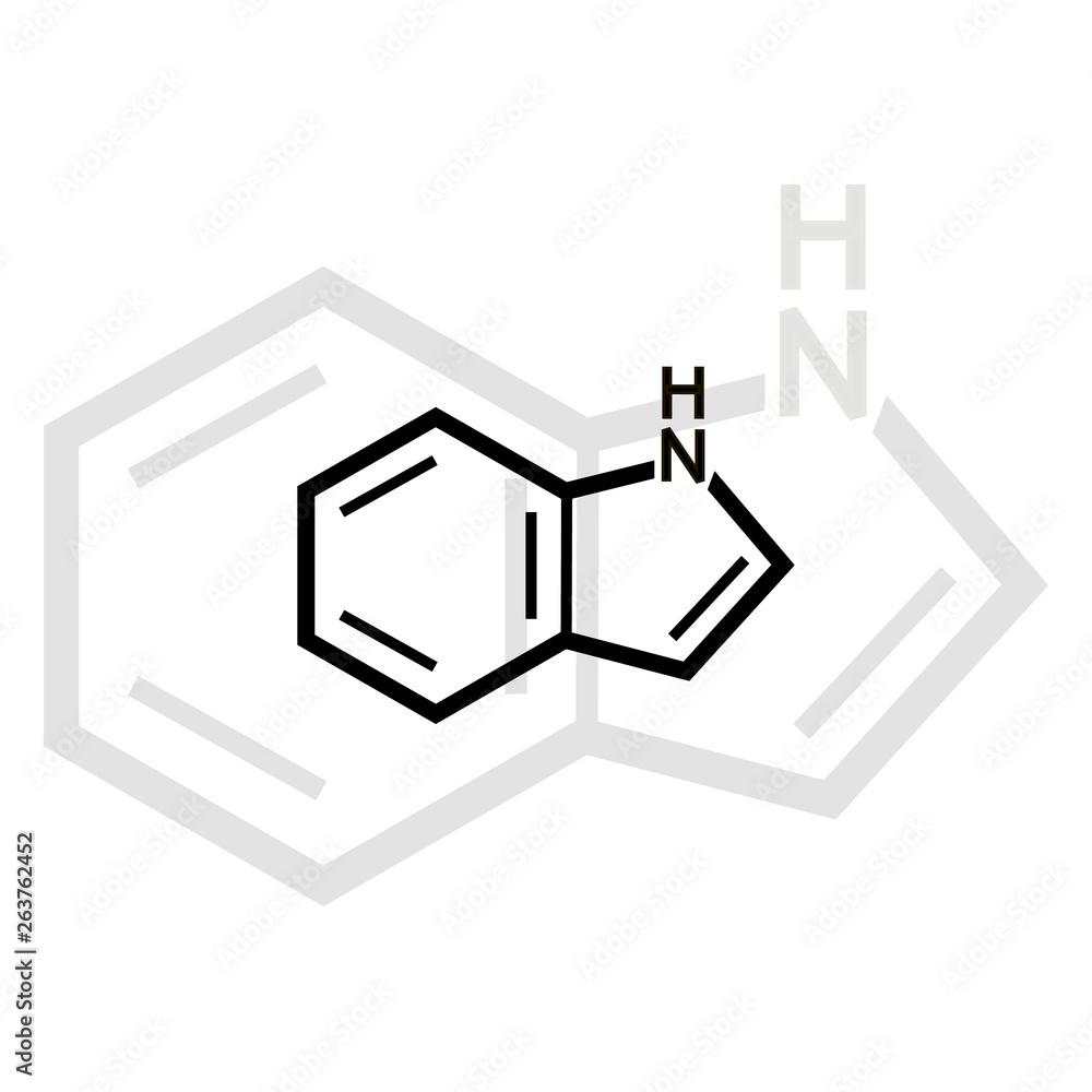 Indol vector icon with shadow on white background Indol vector icon with shadow on white background