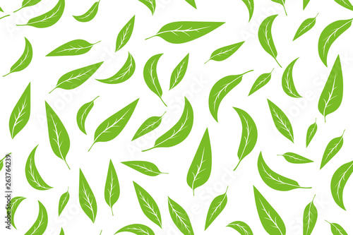 Seamless pattern with green tea leaves on white background. Hand painting on paper. May used in fabric, wrapping paper. Vector illustration.