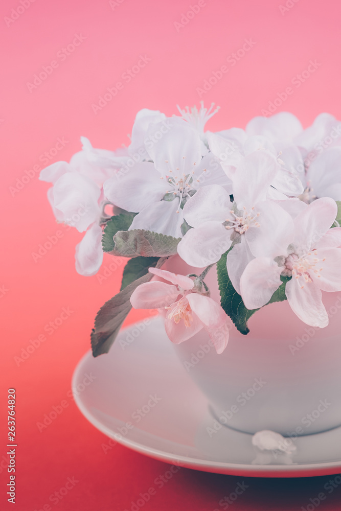 White spring apple tree blooming flowers in a cup White spring apple tree blooming flowers in a cup