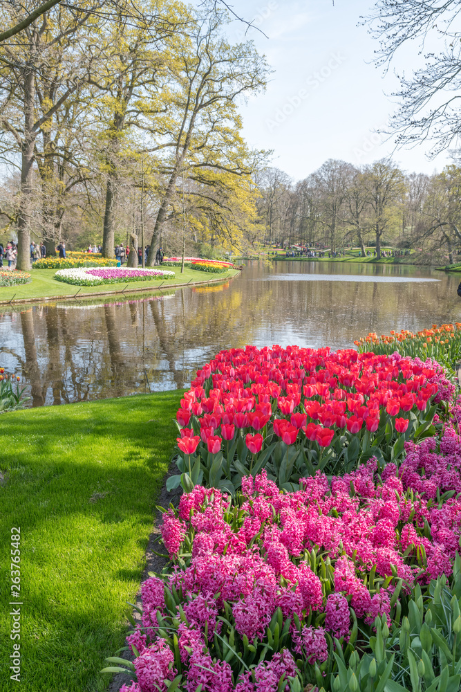 Obraz premium Tulipes Keukenhof