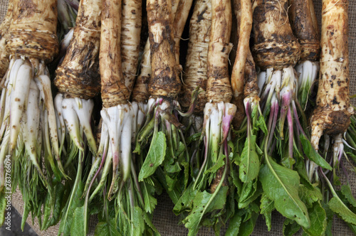 Fresh, dug-out horseradish