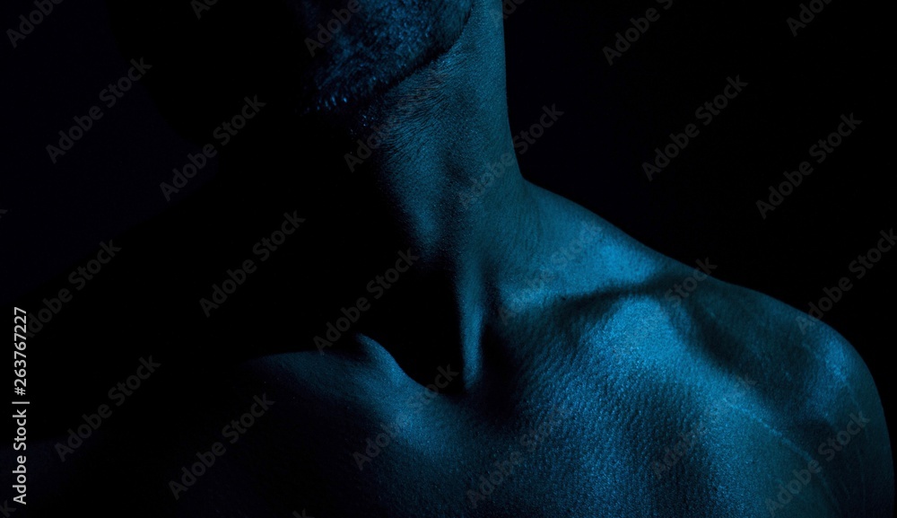 Fototapeta premium Photos