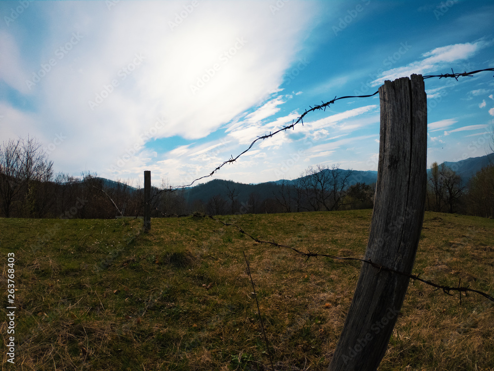 Fototapeta premium in the French countryside, in the rising sun of a morning