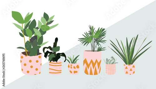potted plants collection. succulents and house plants. hand drawn vector art.  Set of house indoor plant vector cartoon doodle.