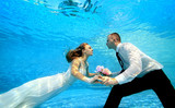 A beautiful bride in a white dress swims underwater to the groom and takes his hands. The boy and girl are illuminated by the sun under the water. Portrait. Concept. Underwater photography