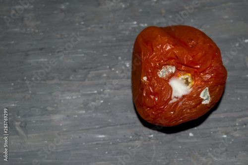 DECAYING TOMATO ON RUSTIC WOOD