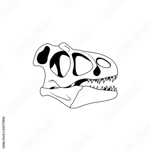 Vector illustration of dinosaur skull. Velociraptor skull