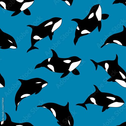 Vector seamless pattern of hand drawn killer whale swimming on blue background
