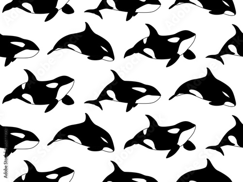 Vector seamless pattern of hand drawn killer whale swimming on white background. Jamb of Orca