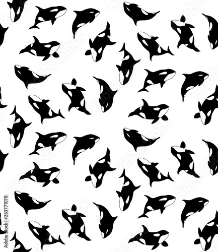Vector seamless pattern of hand drawn killer whale swimming on white background