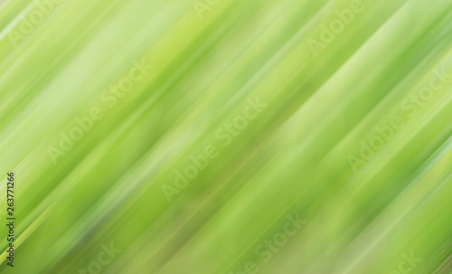 Green blurred stripes abstract background.