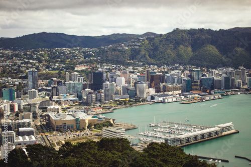 Wellington in New Zealand, city view © Edina
