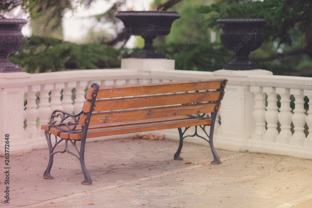 brown wooden bench in the summer park