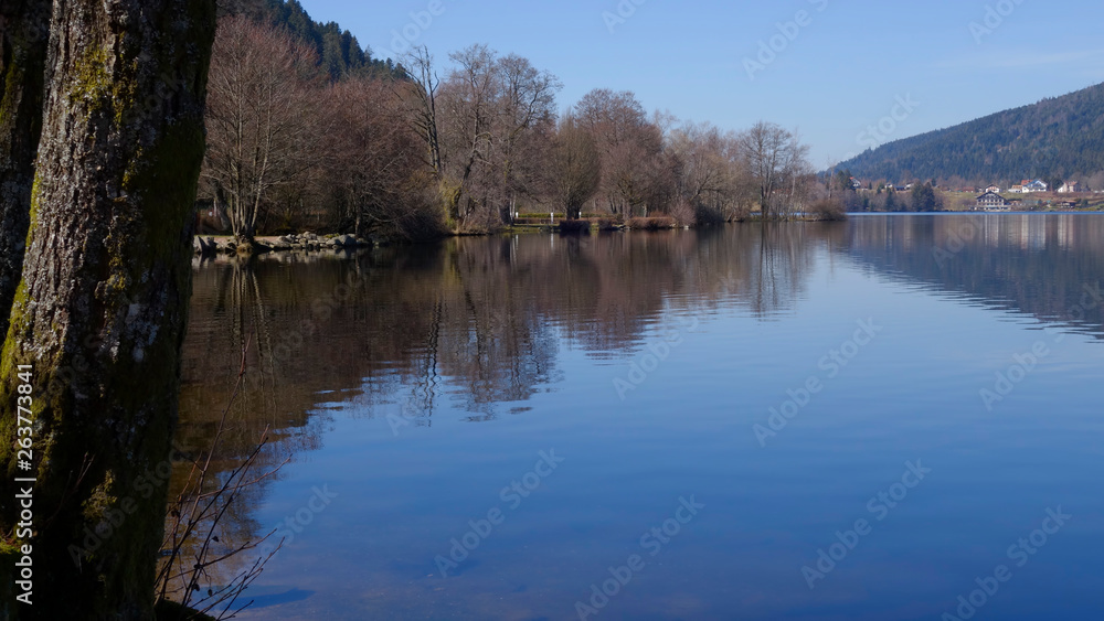 Fototapeta premium Lac de Gerardmer - Abords