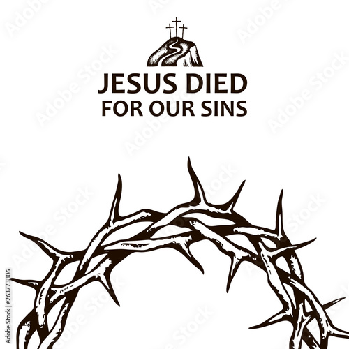 black crown of thorns image isolated on white background 