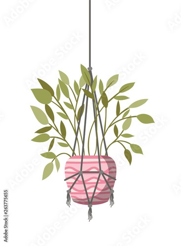 houseplant on macrame hangers icon