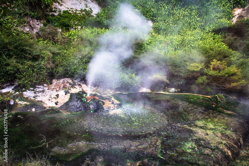 Rotorua geothermal park in New Zealand photo