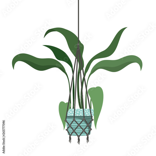 houseplant on macrame hangers icon