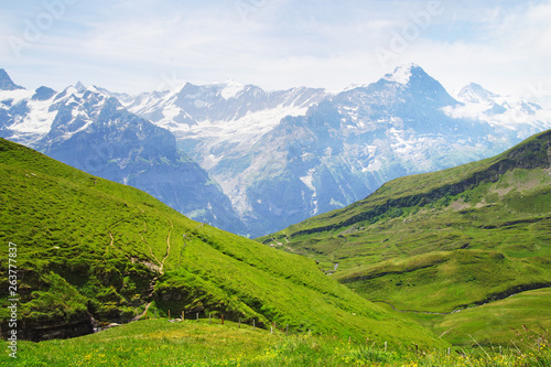 Alpine peaks of Grindelwald and Jungfrau. Landskape background of Bernese highland. Alps  tourism  journey  hiking concept.