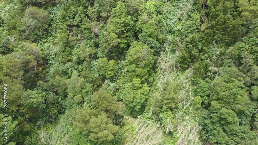 Die Azoren aus der Luft - Sao Miguel Landschaften, Strand, Küste und mehr mit DJI Mavic 2 Drohne Die Azoren aus der Luft - Sao Miguel Landschaften, Strand, Küste und mehr mit DJI Mavic 2 Drohne