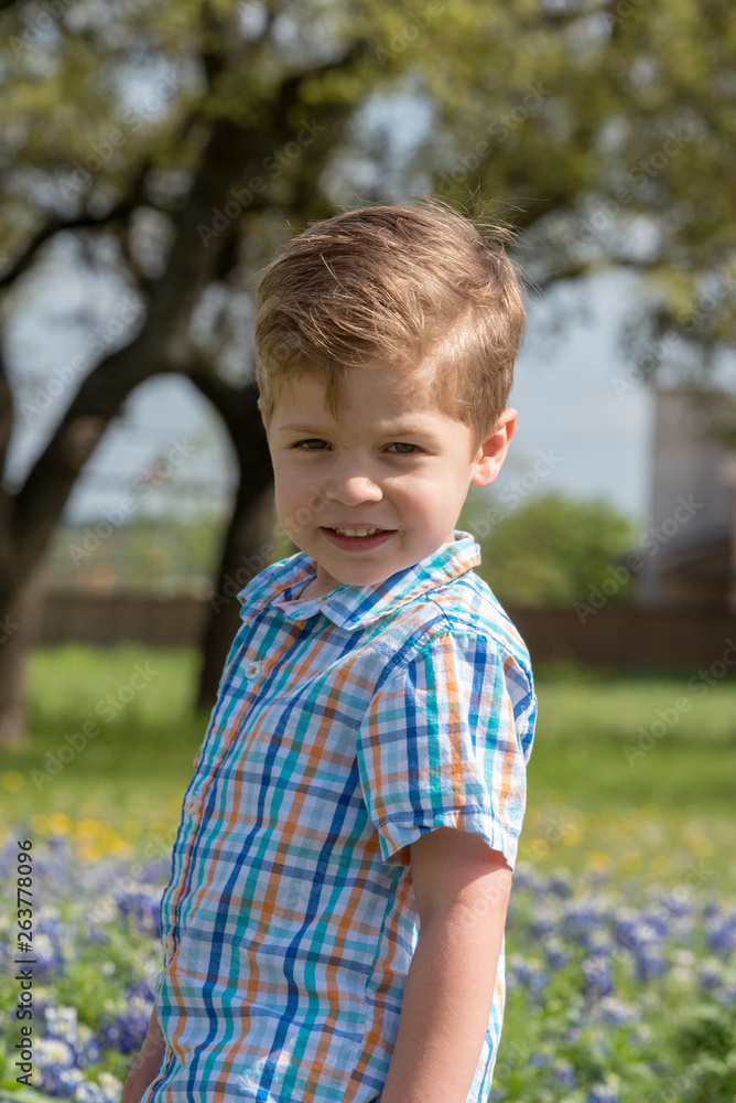 Young Toddler Boy Picking Flowers in Field of Blue Bonnets in Texas Young Toddler Boy Picking Flowers in Field of Blue Bonnets in Texas
