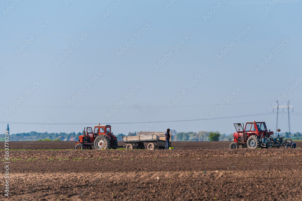 Fototapeta premium a red tractor and workers in the field of land preparation for planting