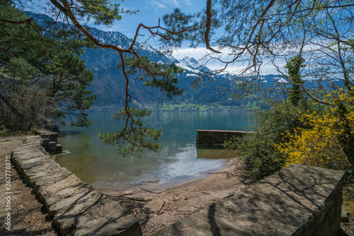 Nature reserve Weissenau in Unterseen, Switzerland photo