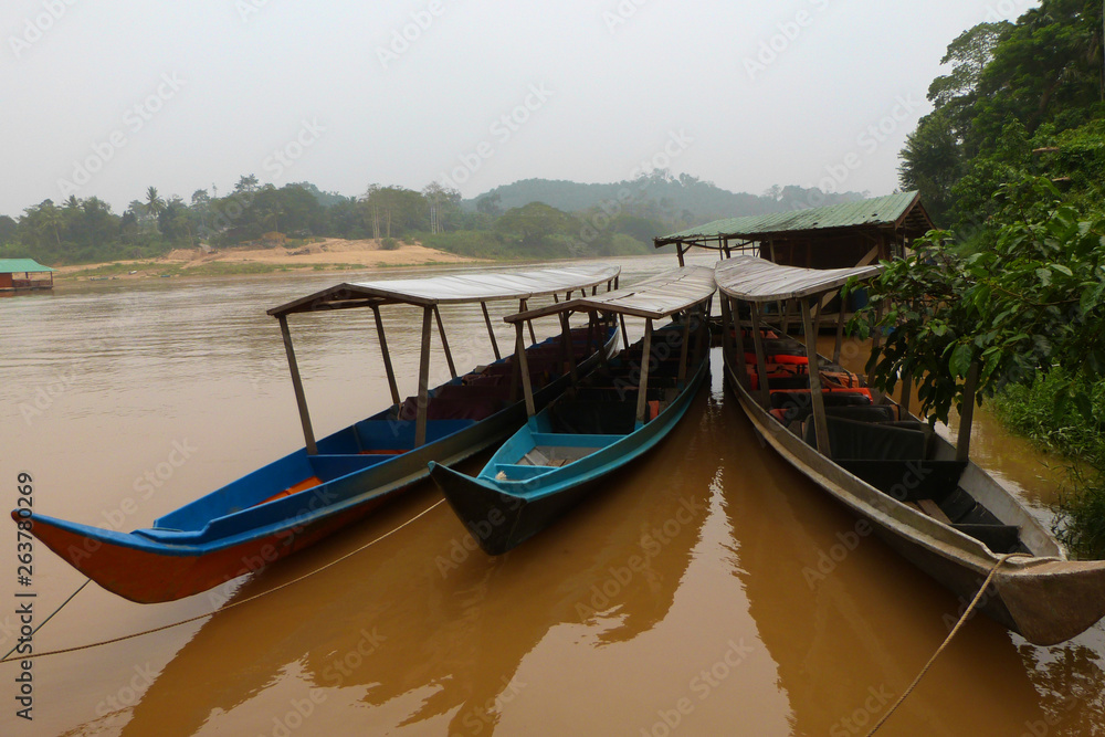 Historical boats floating on Tembeling River in Taman Negara National Park, Malaysia, Asia