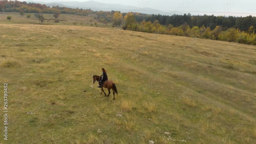 Aerial tracking shot of girl ride horse in grass field Aerial tracking shot of girl ride horse in grass field